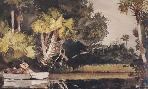 Winslow Homer Homosassa Jungle (mk44) oil painting image